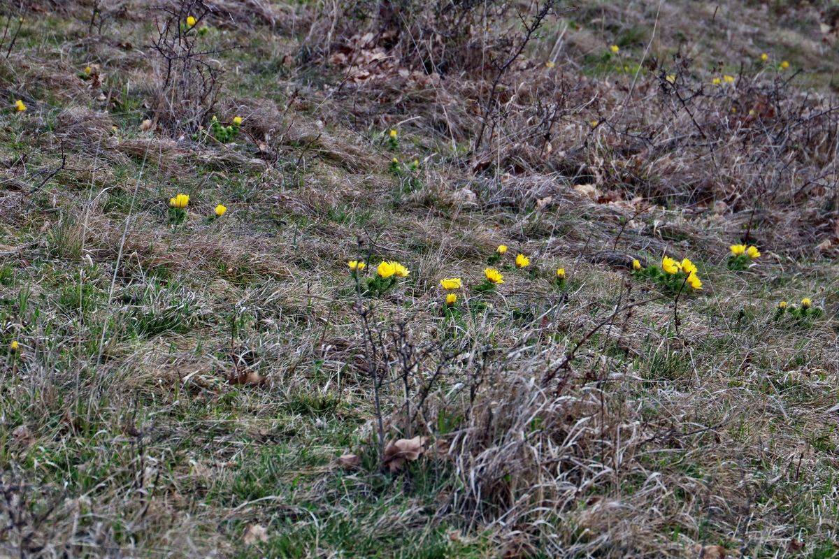 RNA-2017-03-29-00027368p_Bildgr��e �ndern