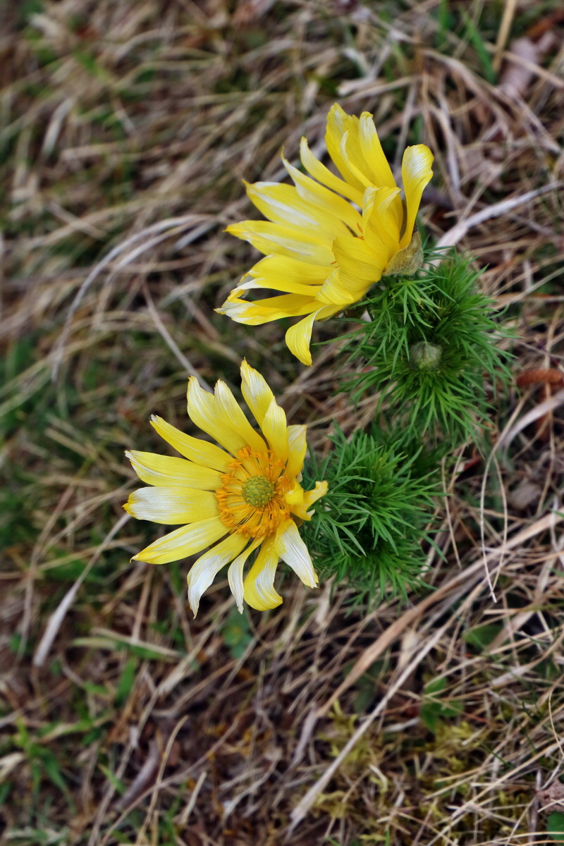 RNA-2017-03-29-00027379p_Bildgr��e �ndern