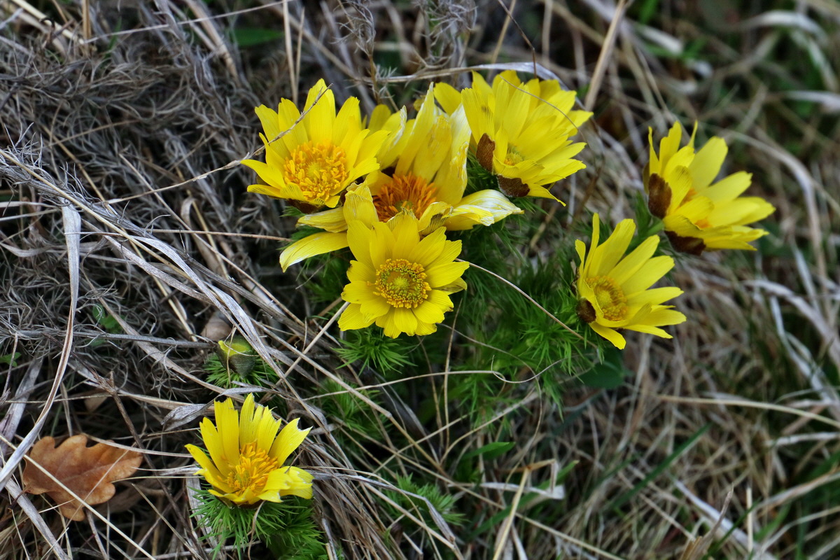 RNA-2017-03-29-00027383p_Bildgr��e �ndern