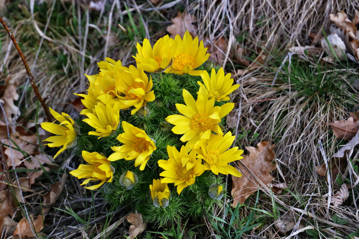 RNA-2017-03-29-00027392p_Bildgr��e �ndern