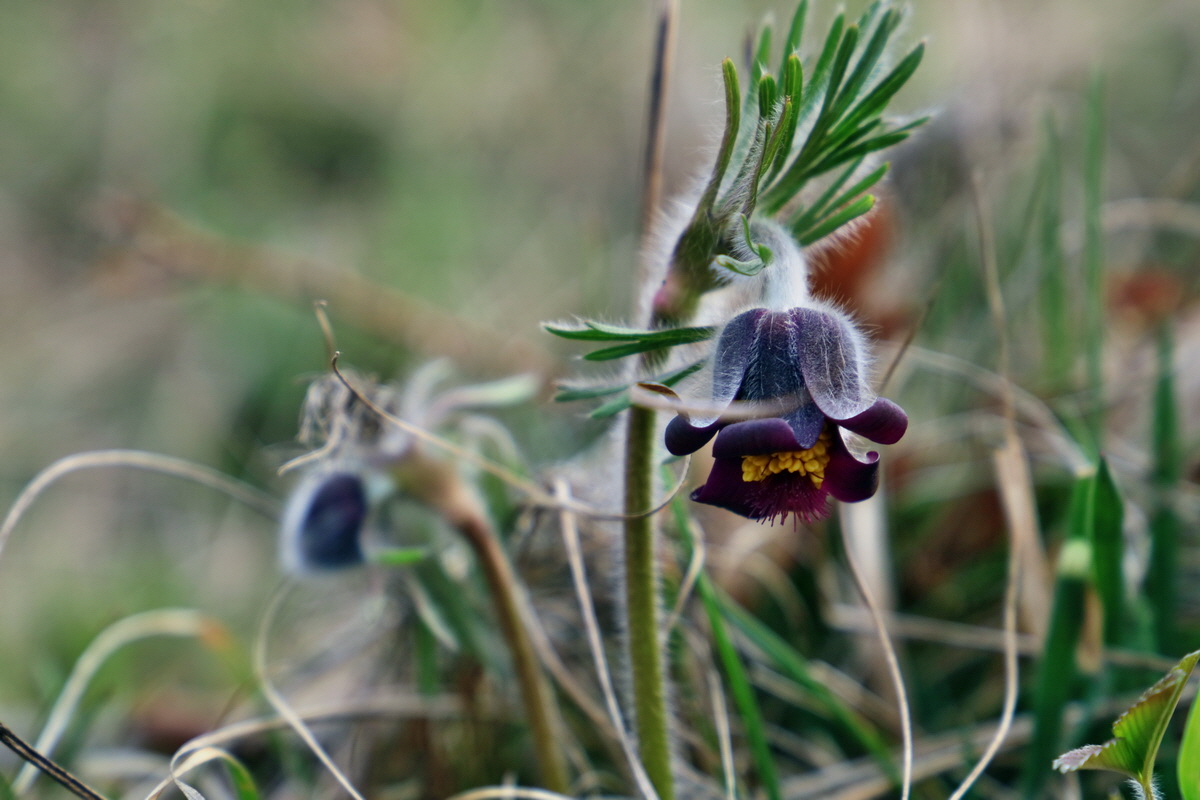 RNA-2017-03-29-00027394p_Bildgr��e �ndern