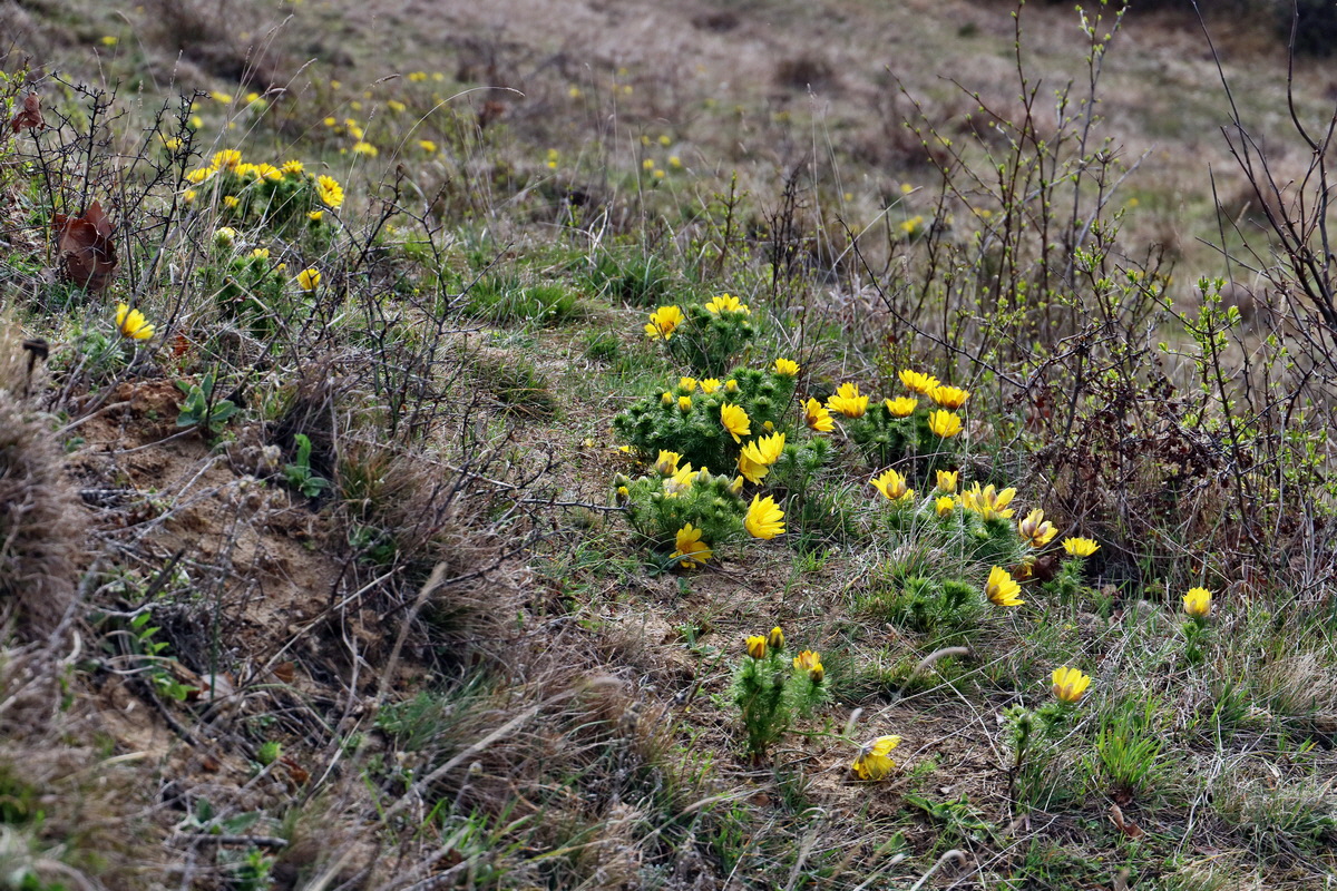 RNA-2017-03-29-00027415p_Bildgr��e �ndern