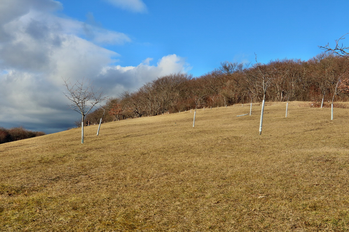 RNA-2017-02-04-00025254p_Bildgr��e �ndern