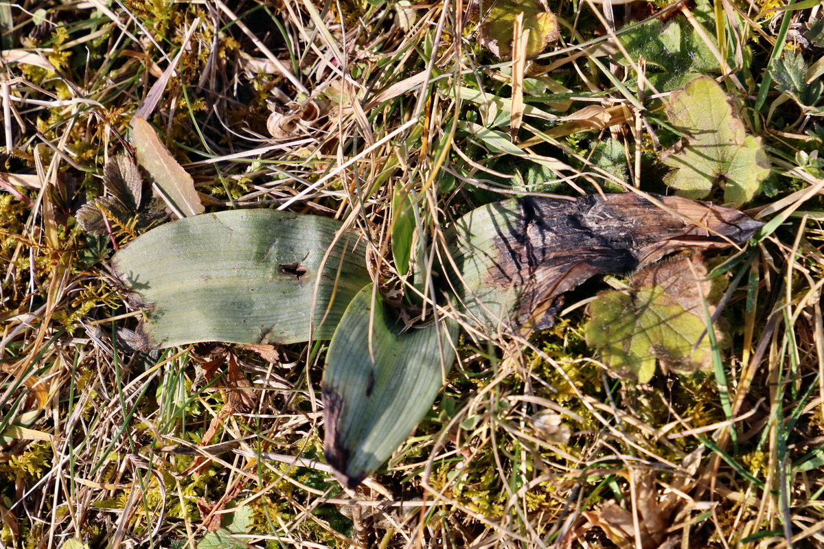 RNA-2017-02-04-00025255p_Bildgr��e �ndern