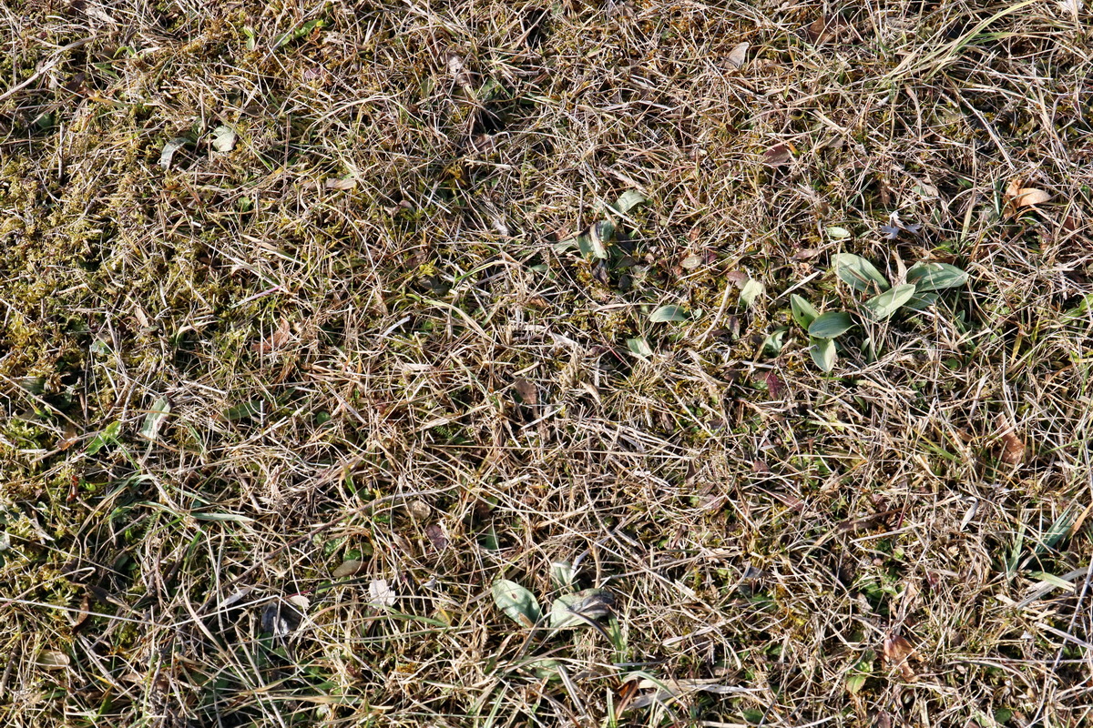 RNA-2017-02-04-00025268p_Bildgr��e �ndern