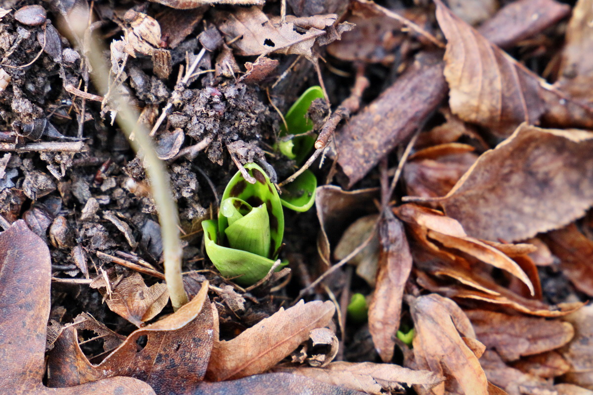 RNA-2017-02-04-00025319p_Bildgr��e �ndern