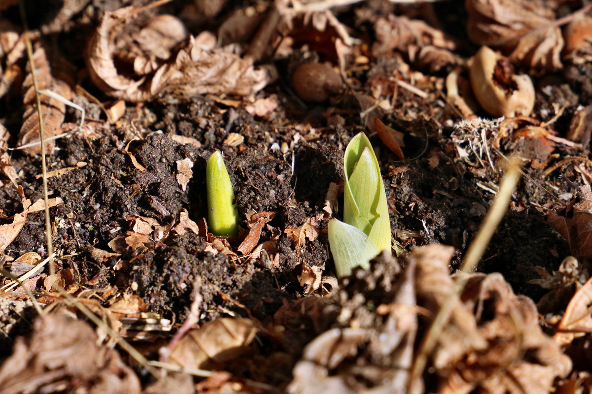 RNA-2017-02-04-00025332p_Bildgr��e �ndern