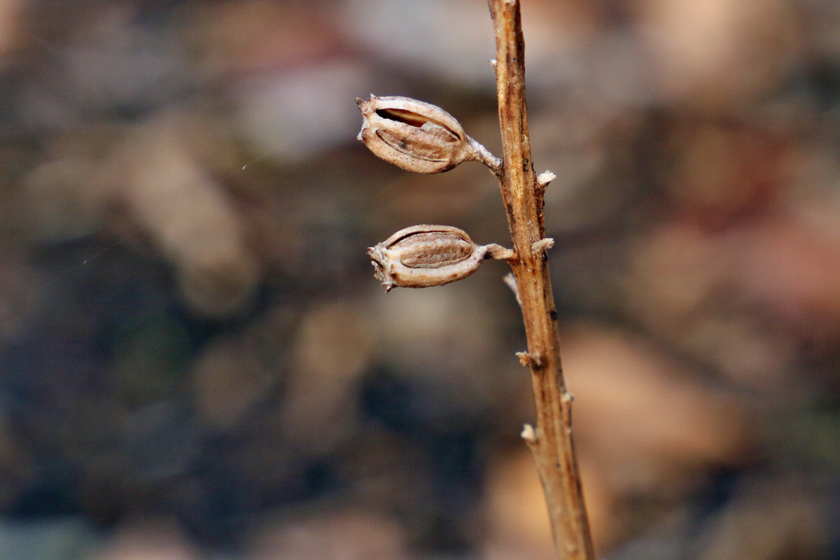 RNA-2017-02-04-00025336p_Bildgr��e �ndern