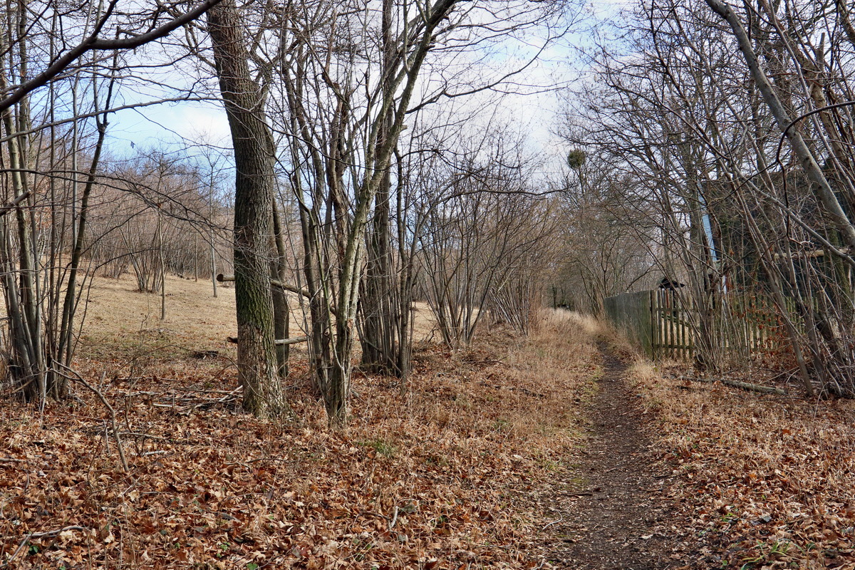 RNA-2017-02-04-00025337p_Bildgr��e �ndern