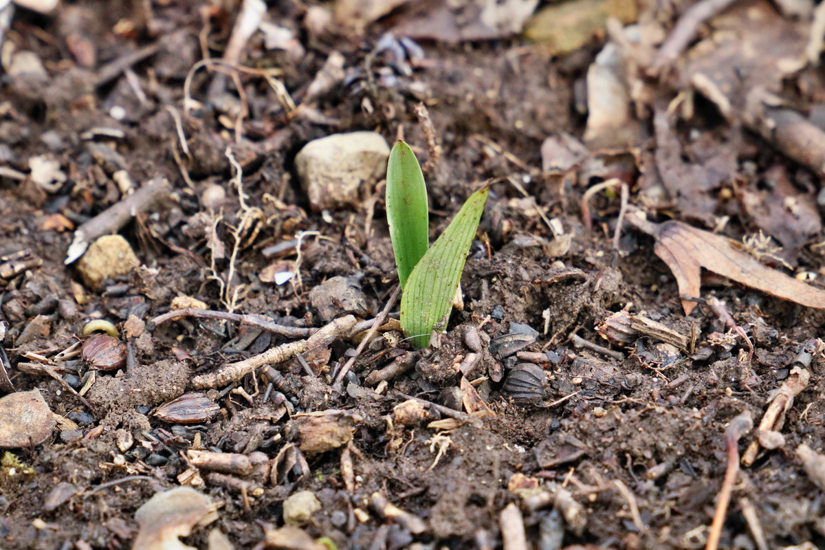 RNA-2017-02-04-00025342p_Bildgr��e �ndern