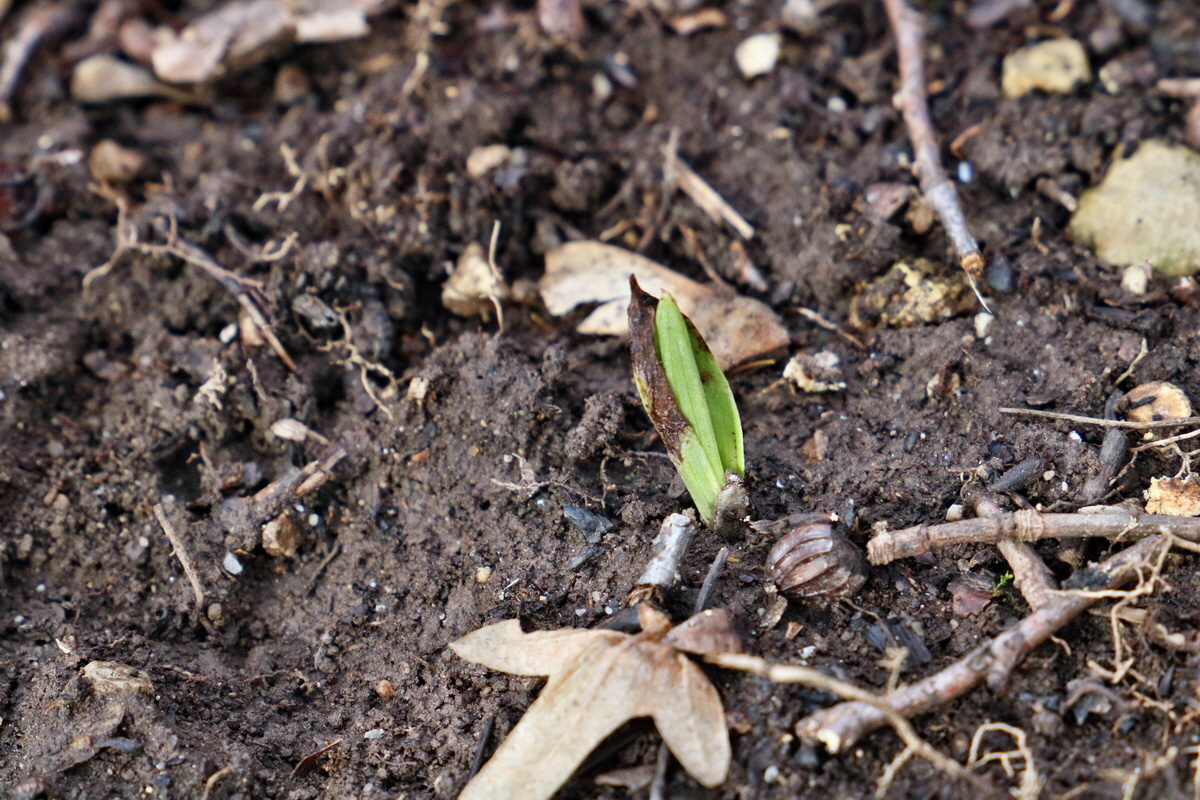 RNA-2017-02-04-00025343p_Bildgr��e �ndern