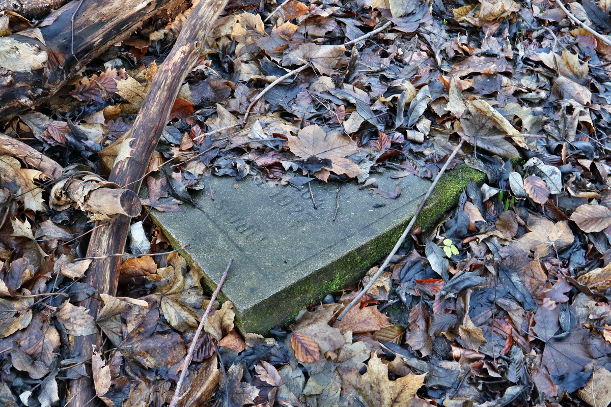 RNA-2017-02-04-00025366p_Bildgr��e �ndern