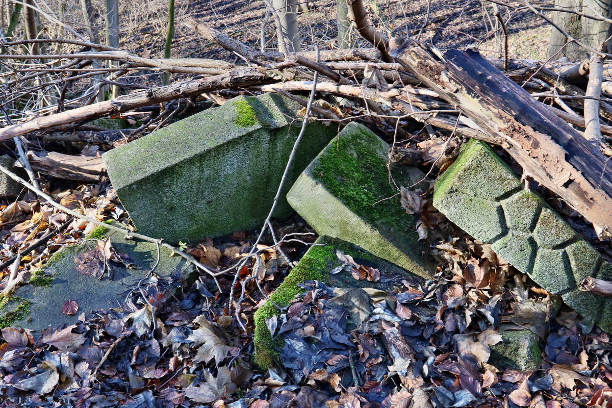 RNA-2017-02-04-00025367p_Bildgr��e �ndern