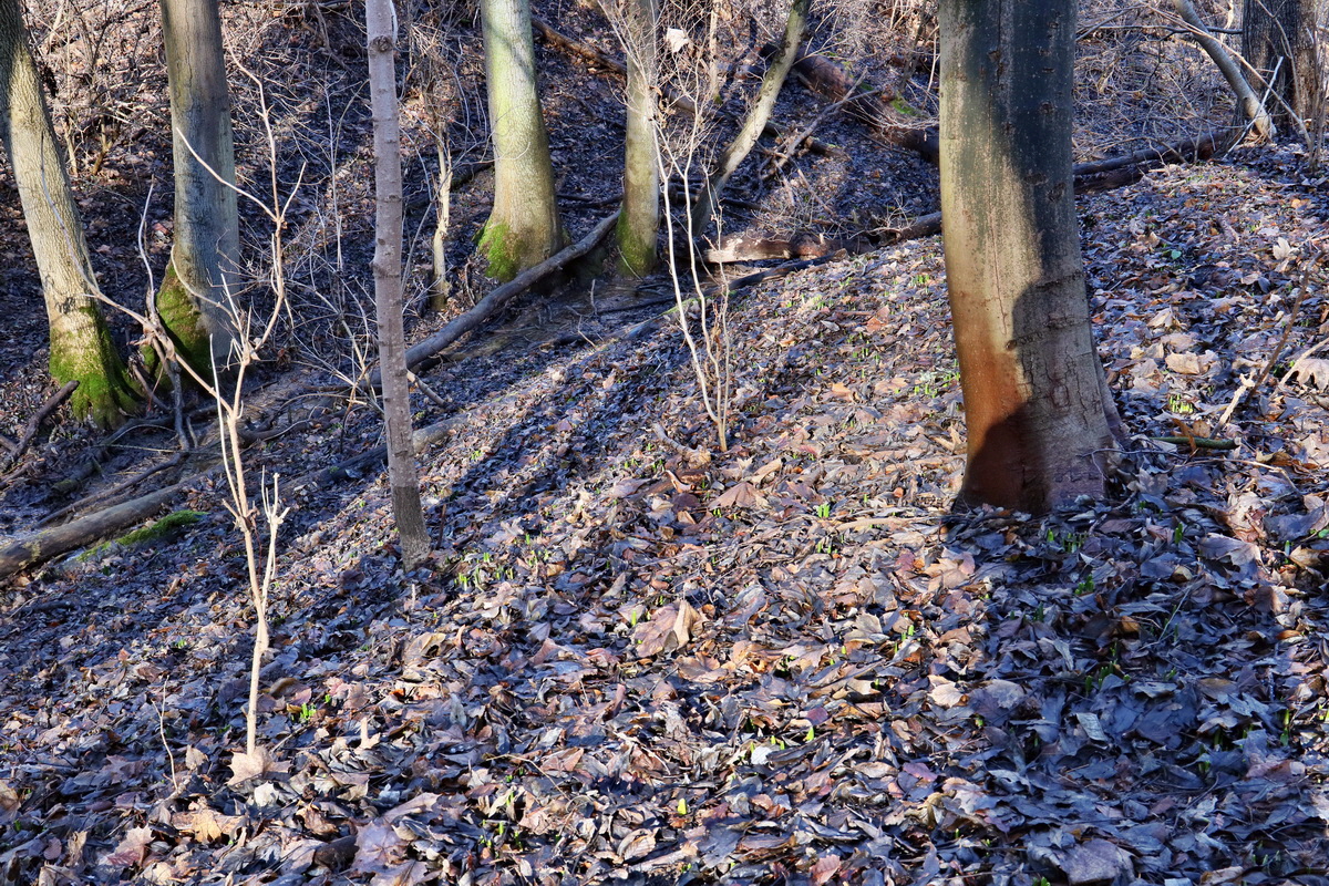 RNA-2017-02-04-00025381p_Bildgr��e �ndern