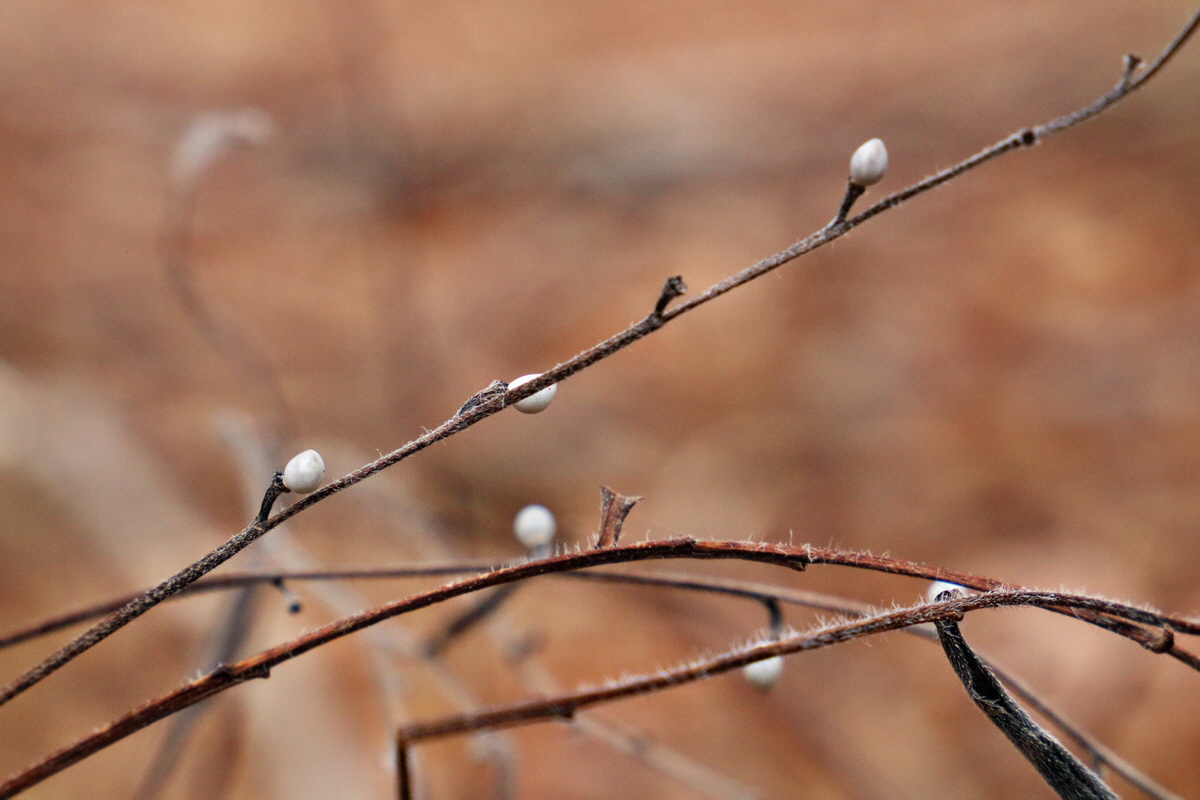 RNA-2017-02-05-00025450p_Bildgr��e �ndern