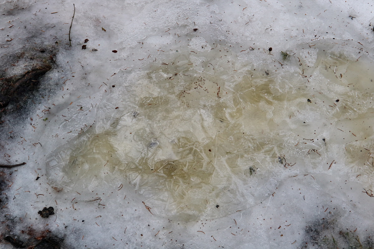 RNA-2017-02-05-00025471p_Bildgr��e �ndern