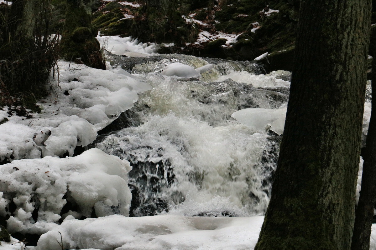 RNA-2017-02-05-00025501p_Bildgr��e �ndern