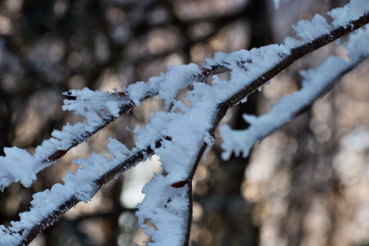 RNA-2017-02-13-00025578p_Bildgr��e �ndern