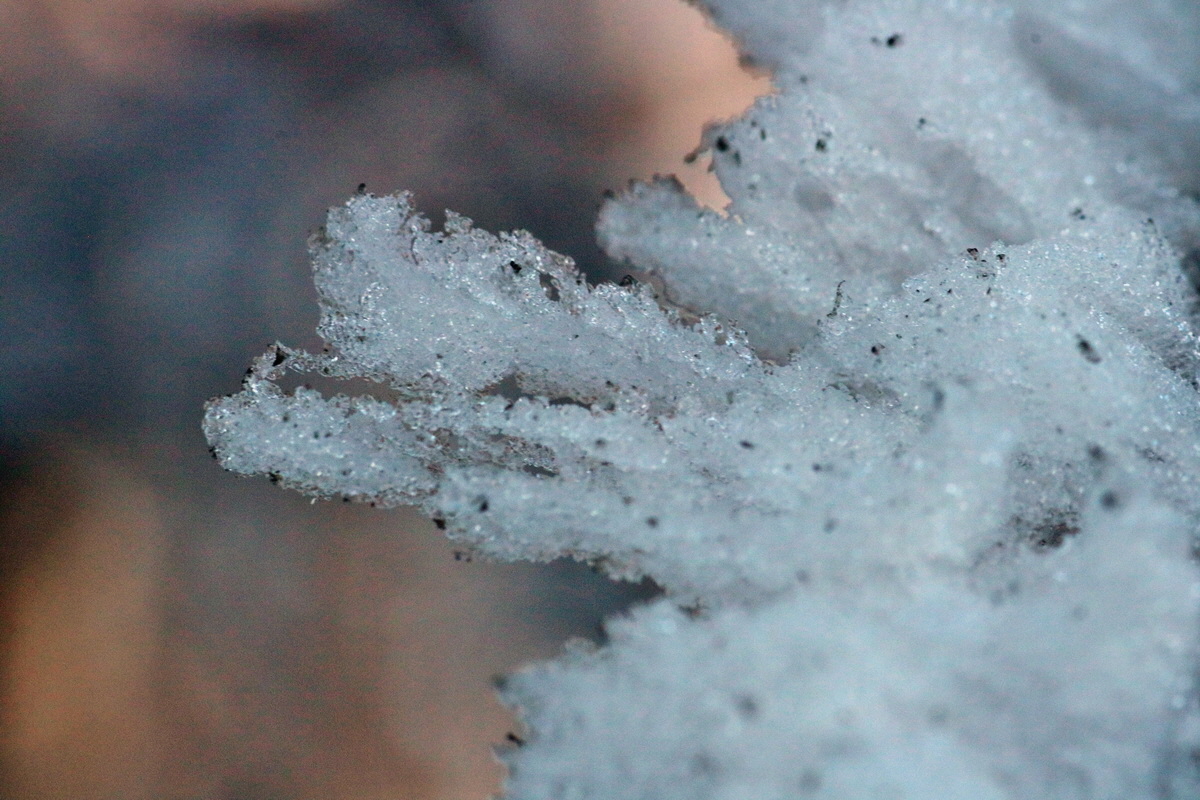 RNA-2017-02-13-00025582p_Bildgr��e �ndern