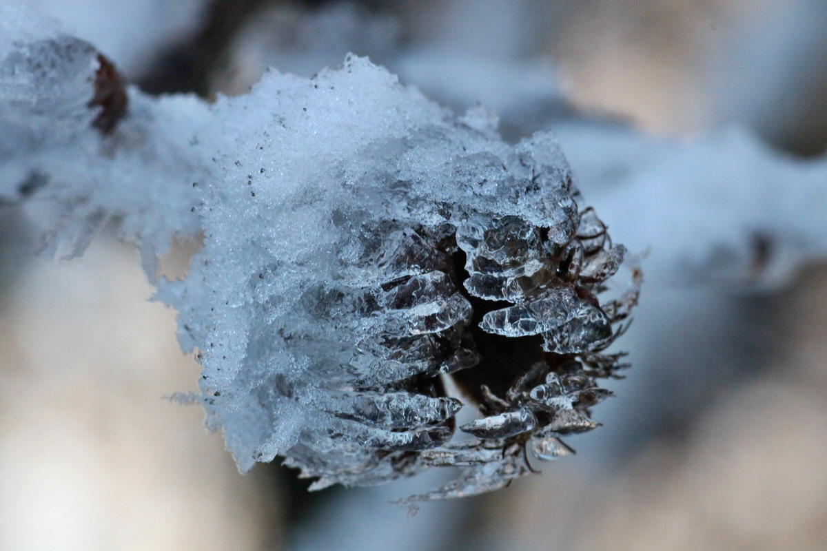 RNA-2017-02-13-00025588p_Bildgr��e �ndern