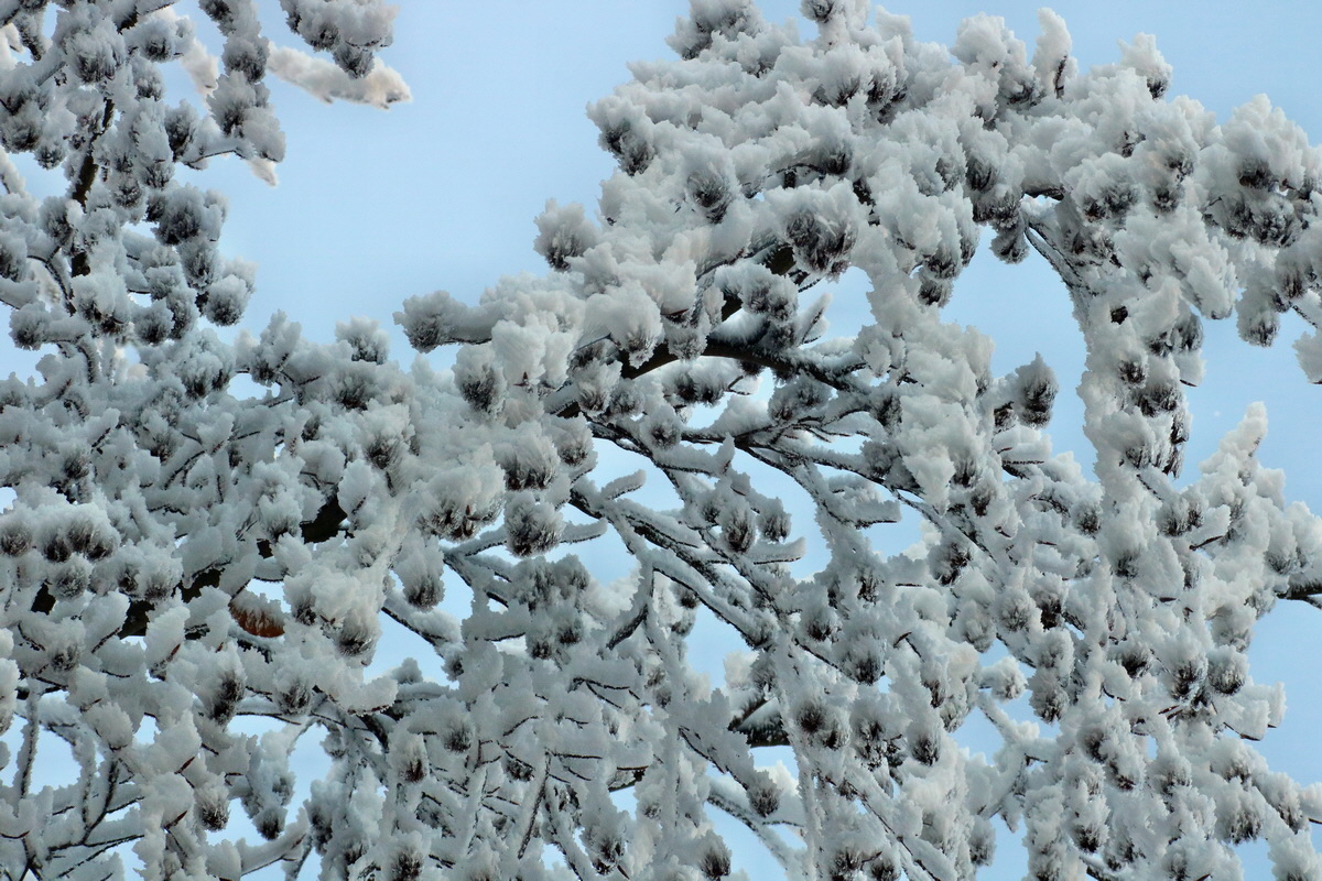 RNA-2017-02-13-00025593p_Bildgr��e �ndern