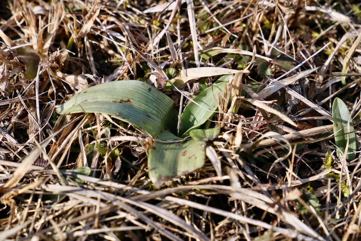 RNA-2017-02-16-00025673p_Bildgr��e �ndern