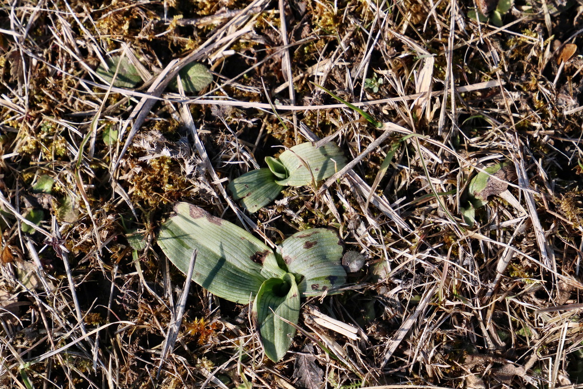 RNA-2017-02-16-00025680p_Bildgr��e �ndern