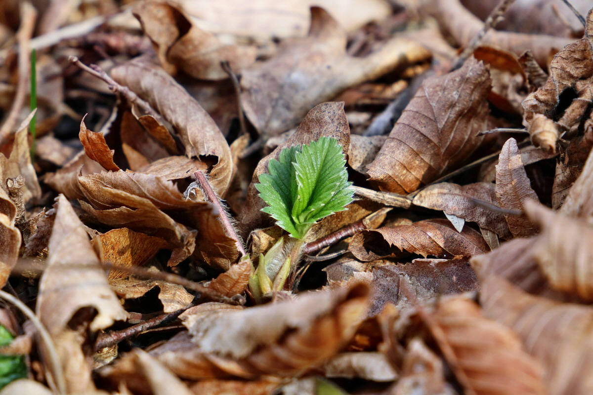 RNA-2017-02-16-00025694p_Bildgr��e �ndern