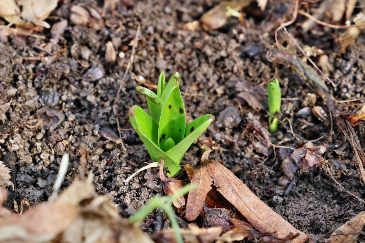 RNA-2017-02-16-00025696p_Bildgr��e �ndern