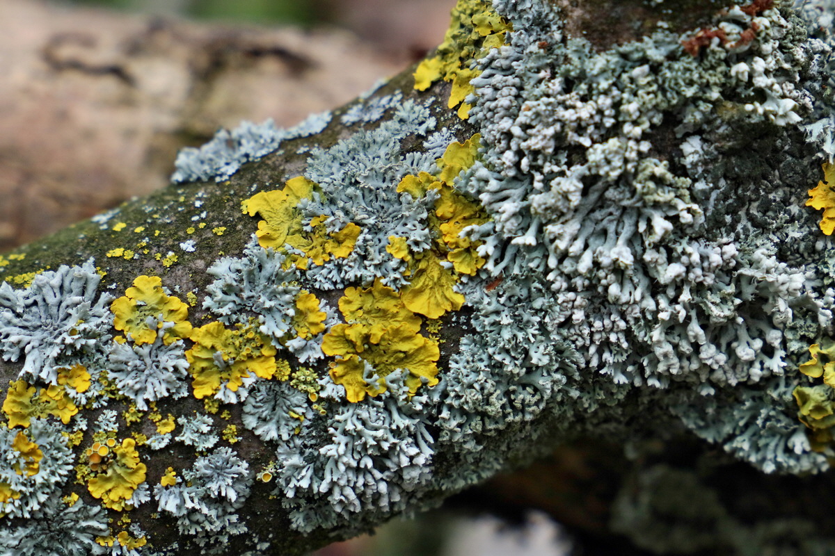 RNA-2017-02-16-00025712p_Bildgr��e �ndern