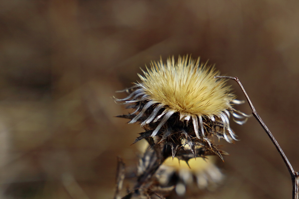 RNA-2017-02-19-00025742p_Bildgr��e �ndern