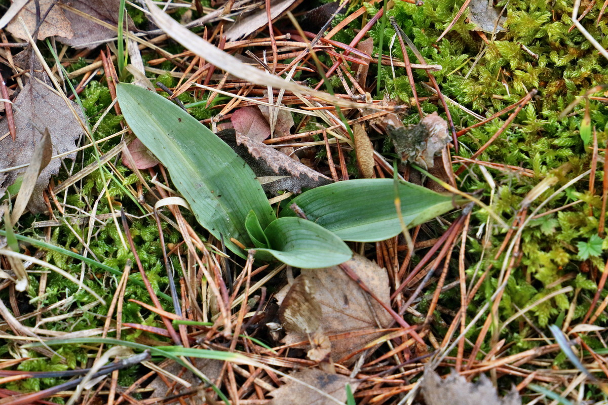 RNA-2017-02-19-00025759p_Bildgr��e �ndern