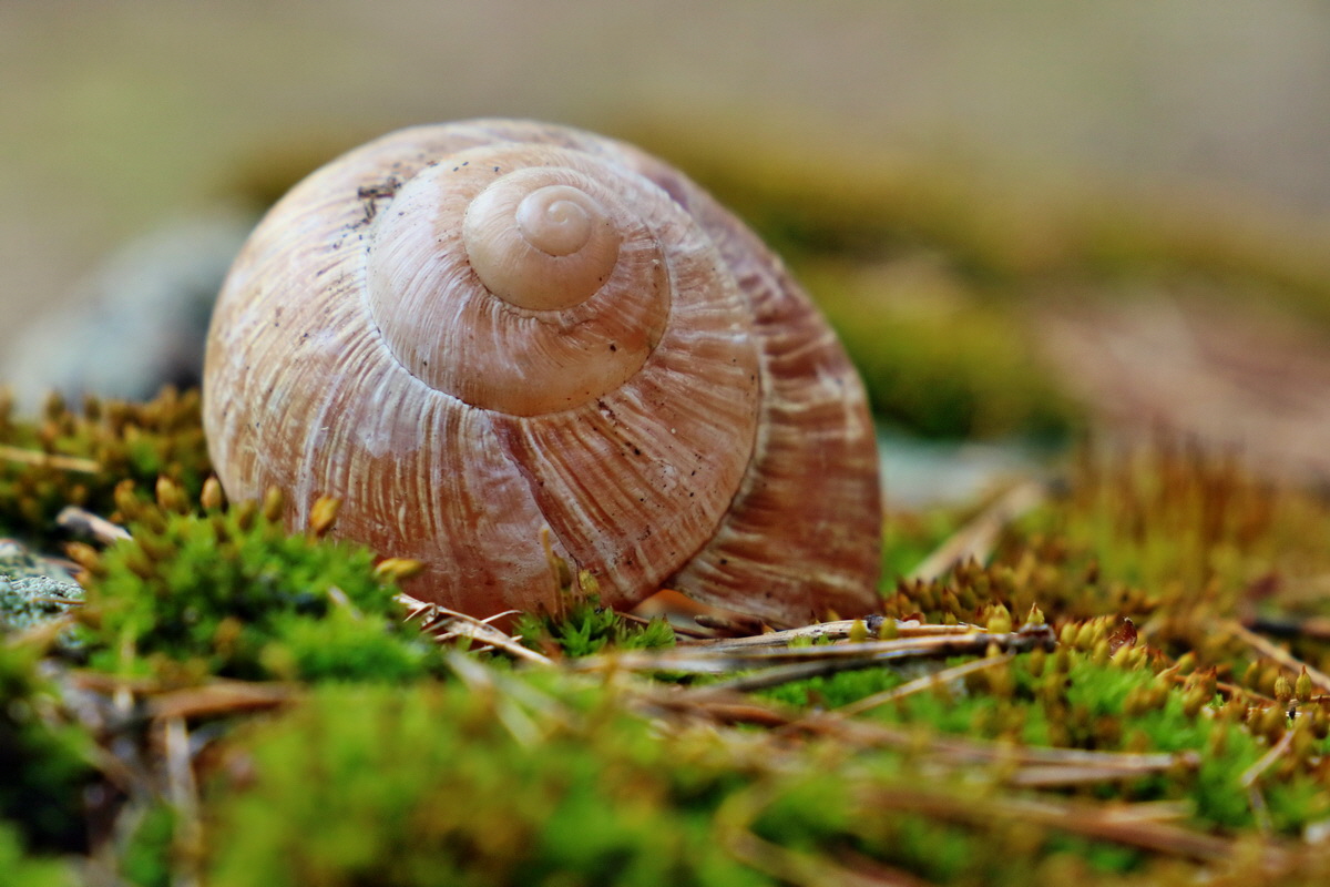 RNA-2017-02-19-00025768p_Bildgr��e �ndern