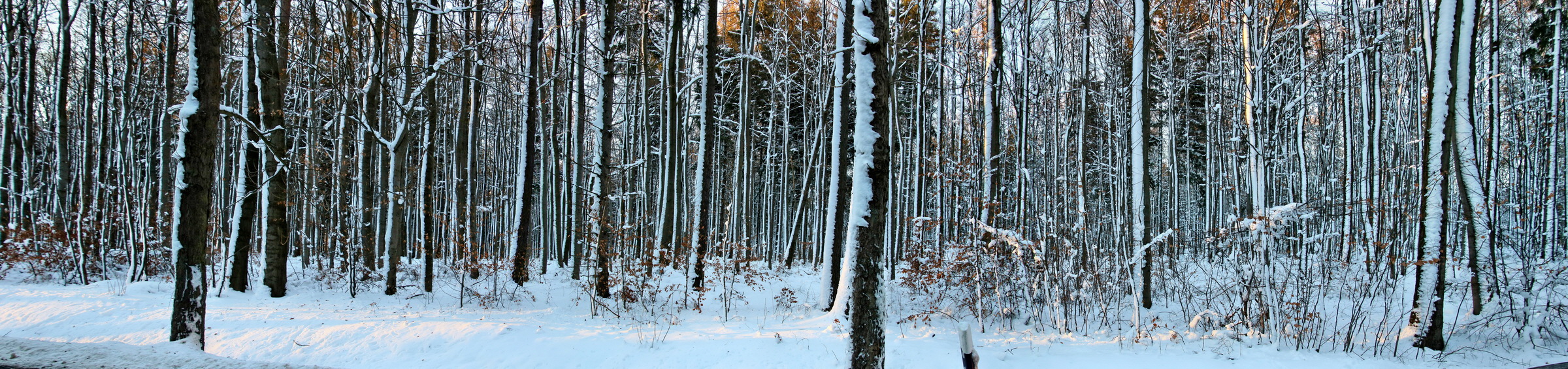 [Group 3]-RNA-2017-01-20-00025020_RNA-2017-01-20-00025026-3 imagesp_Bildgr��e �ndern