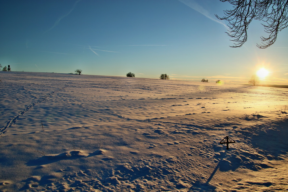 RNA-2017-01-20-00025045p_Bildgr��e �ndern