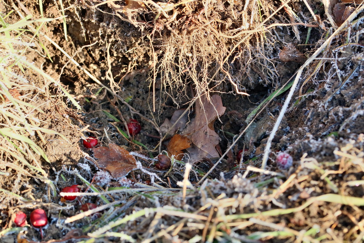 RNA-2017-01-22-00025058p_Bildgr��e �ndern