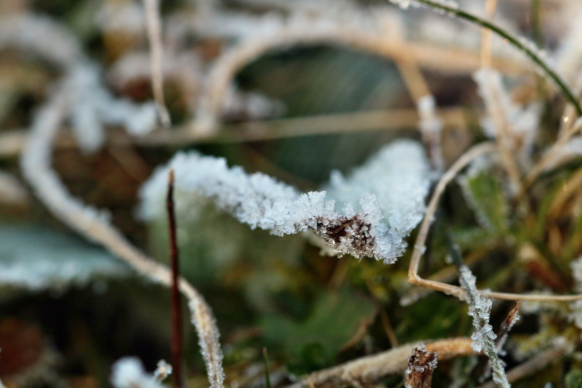 RNA-2017-01-22-00025064p_Bildgr��e �ndern