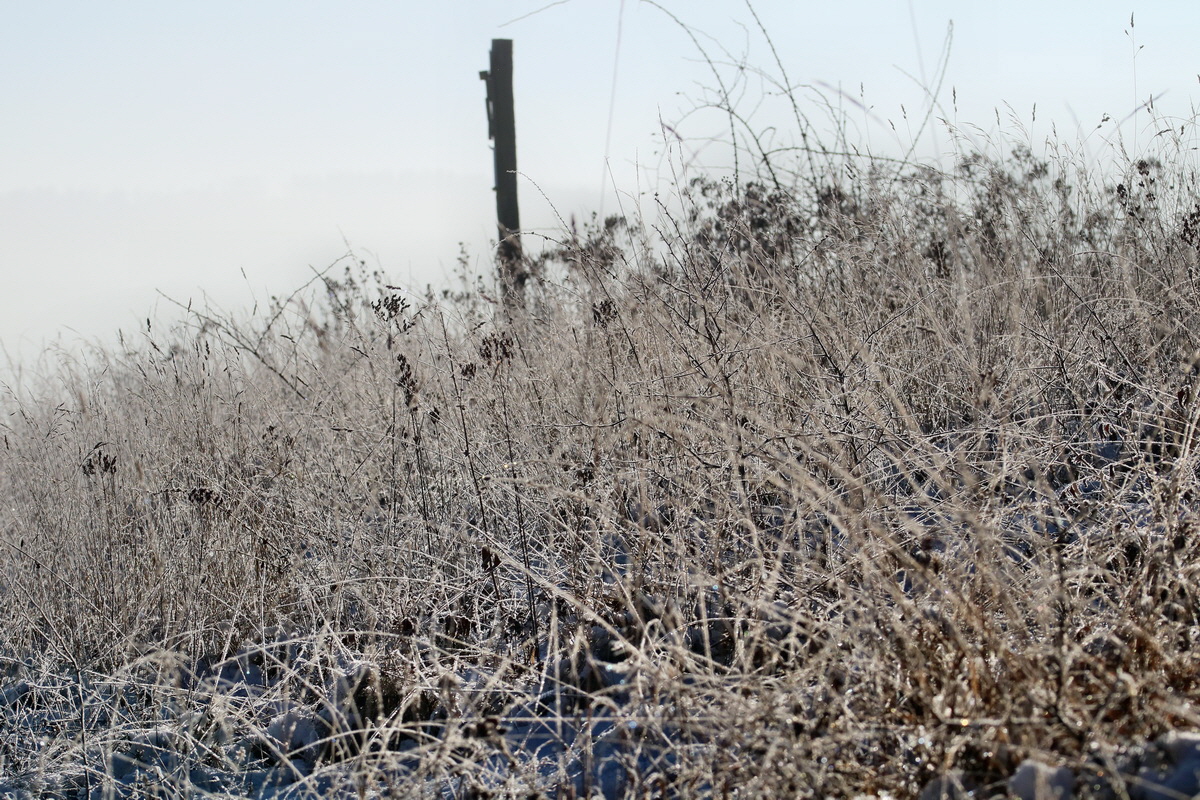 RNA-2017-01-22-00025066p_Bildgr��e �ndern