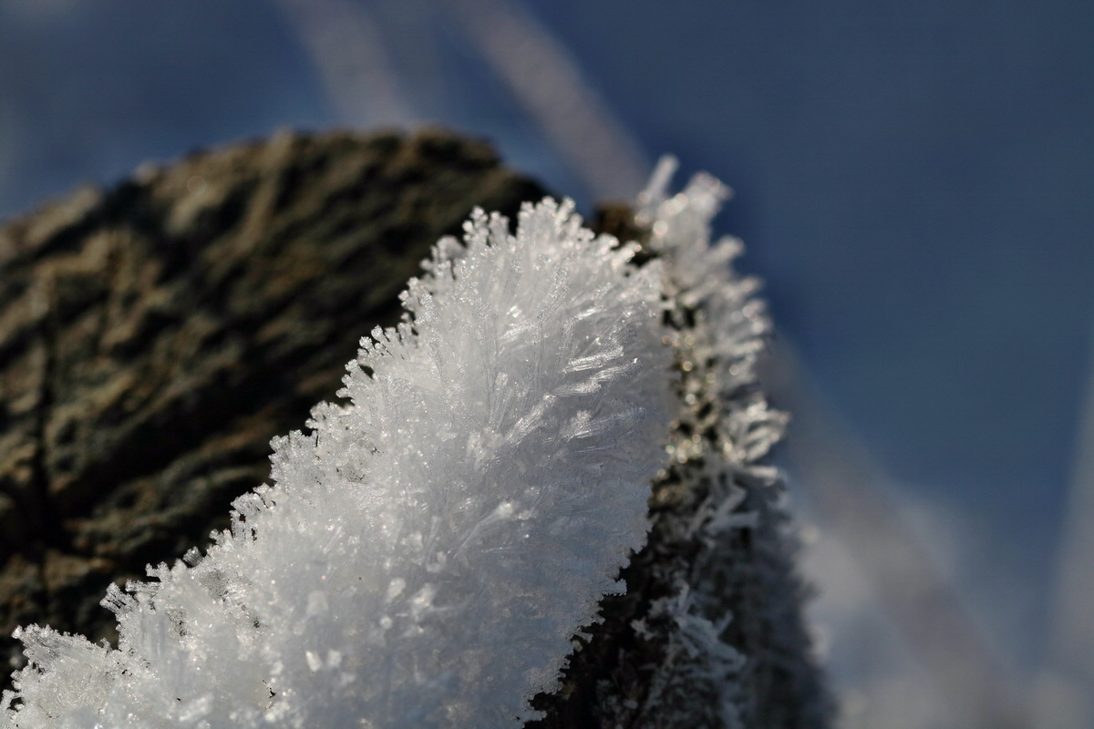 RNA-2017-01-22-00025069p_Bildgr��e �ndern