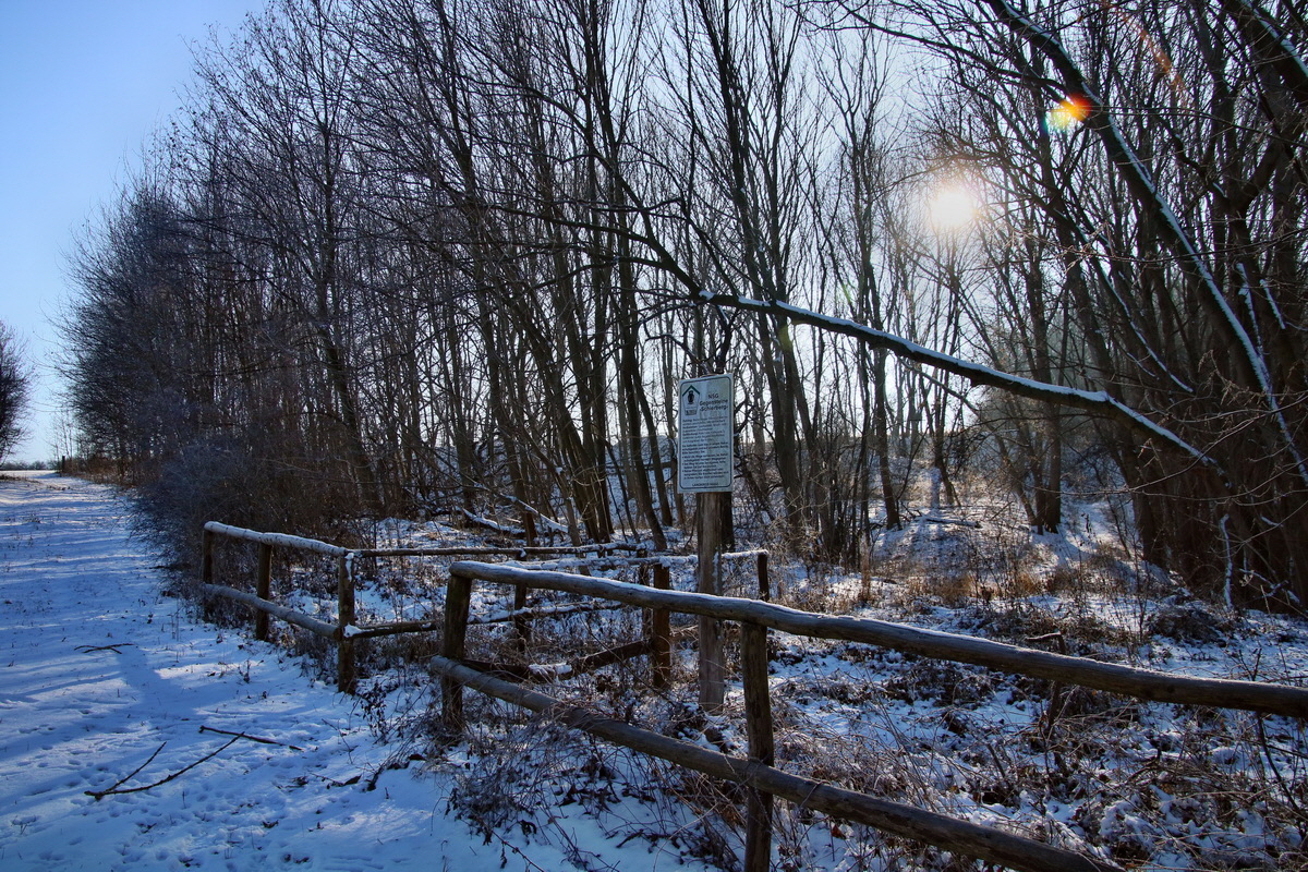 RNA-2017-01-22-00025090p_Bildgr��e �ndern