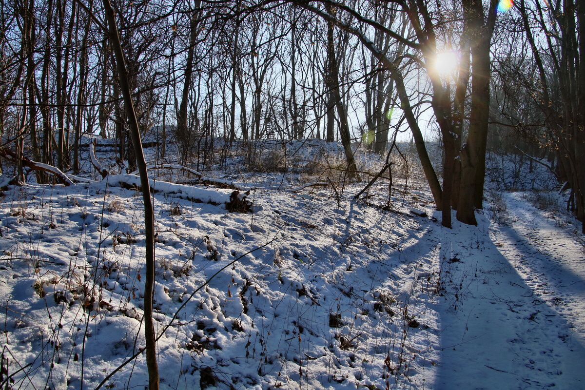 RNA-2017-01-22-00025093p_Bildgr��e �ndern