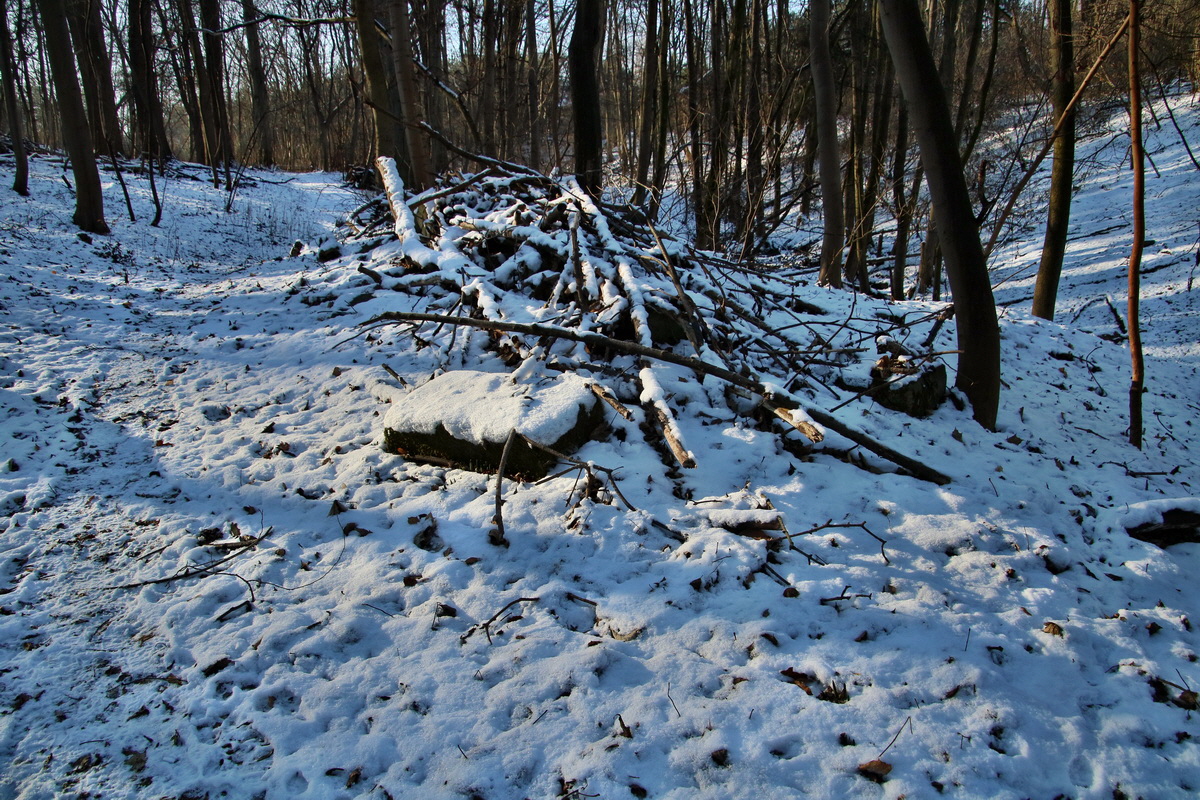 RNA-2017-01-22-00025098p_Bildgr��e �ndern