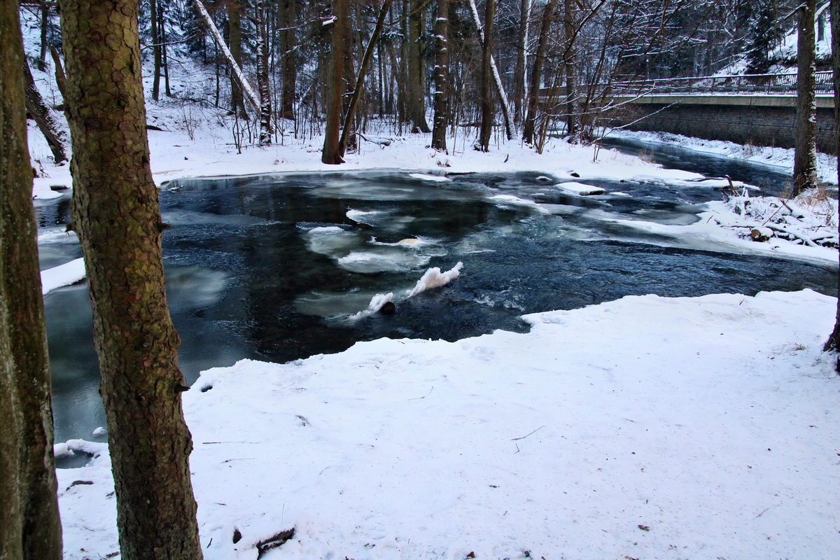 RNA-2017-01-22-00025122p_Bildgr��e �ndern