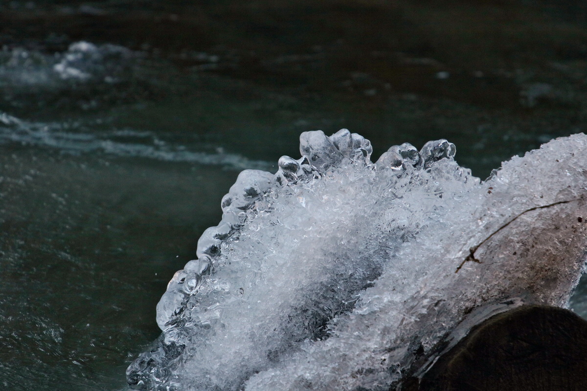 RNA-2017-01-22-00025125p_Bildgr��e �ndern