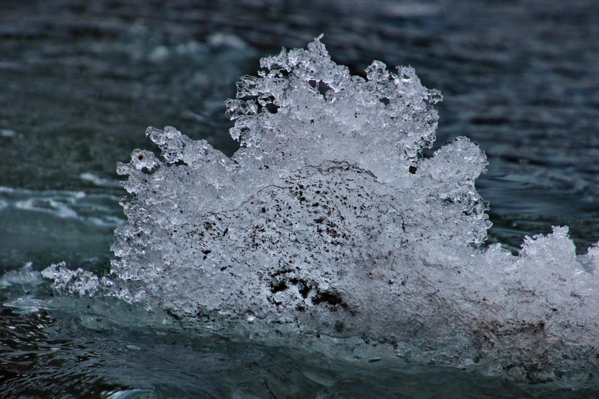 RNA-2017-01-22-00025142p_Bildgr��e �ndern