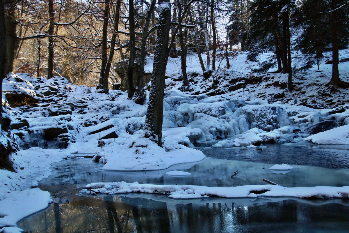 RNA-2017-01-22-00025148p_Bildgr��e �ndern