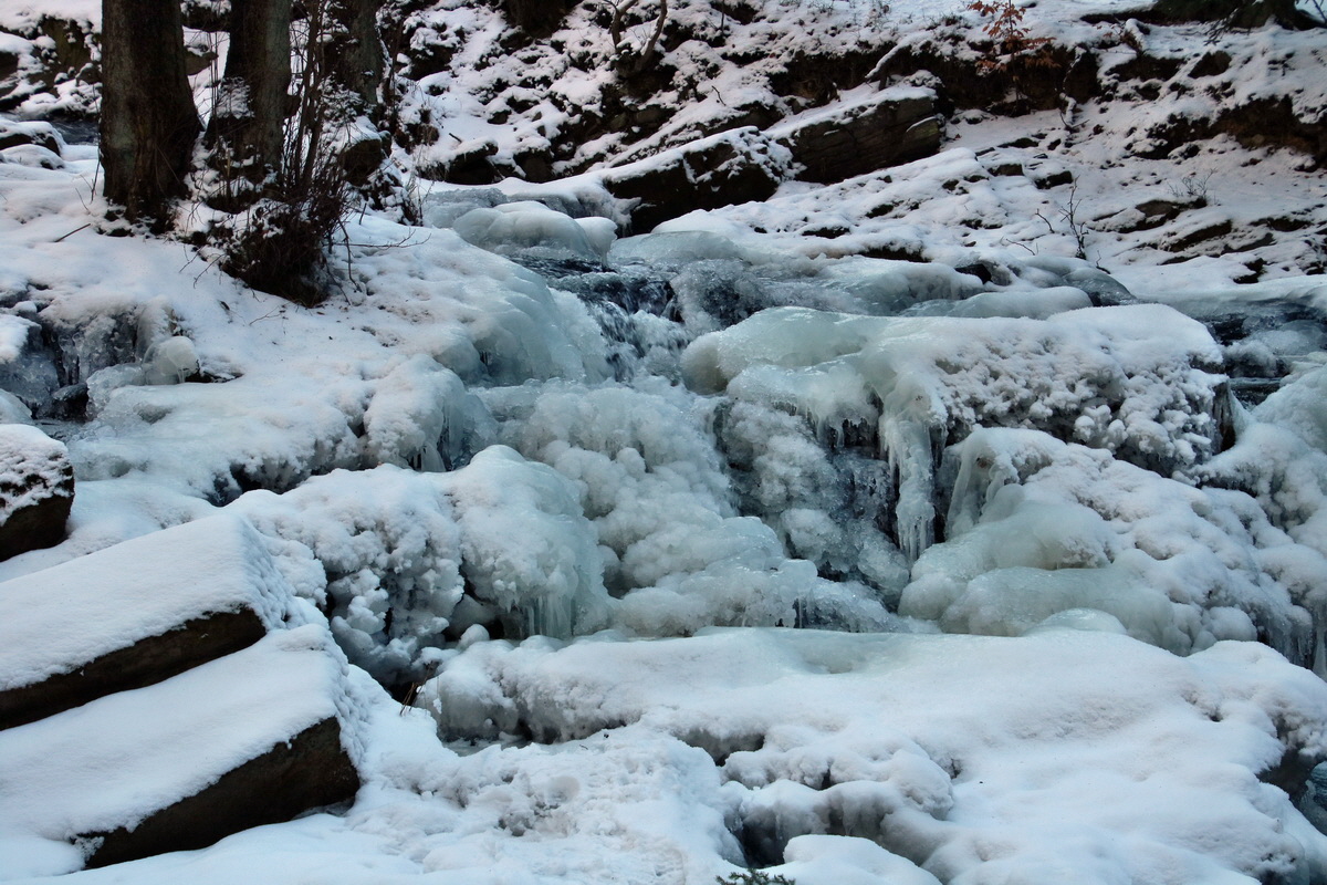 RNA-2017-01-22-00025156p_Bildgr��e �ndern