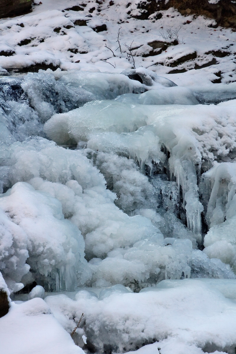 RNA-2017-01-22-00025163p_Bildgr��e �ndern