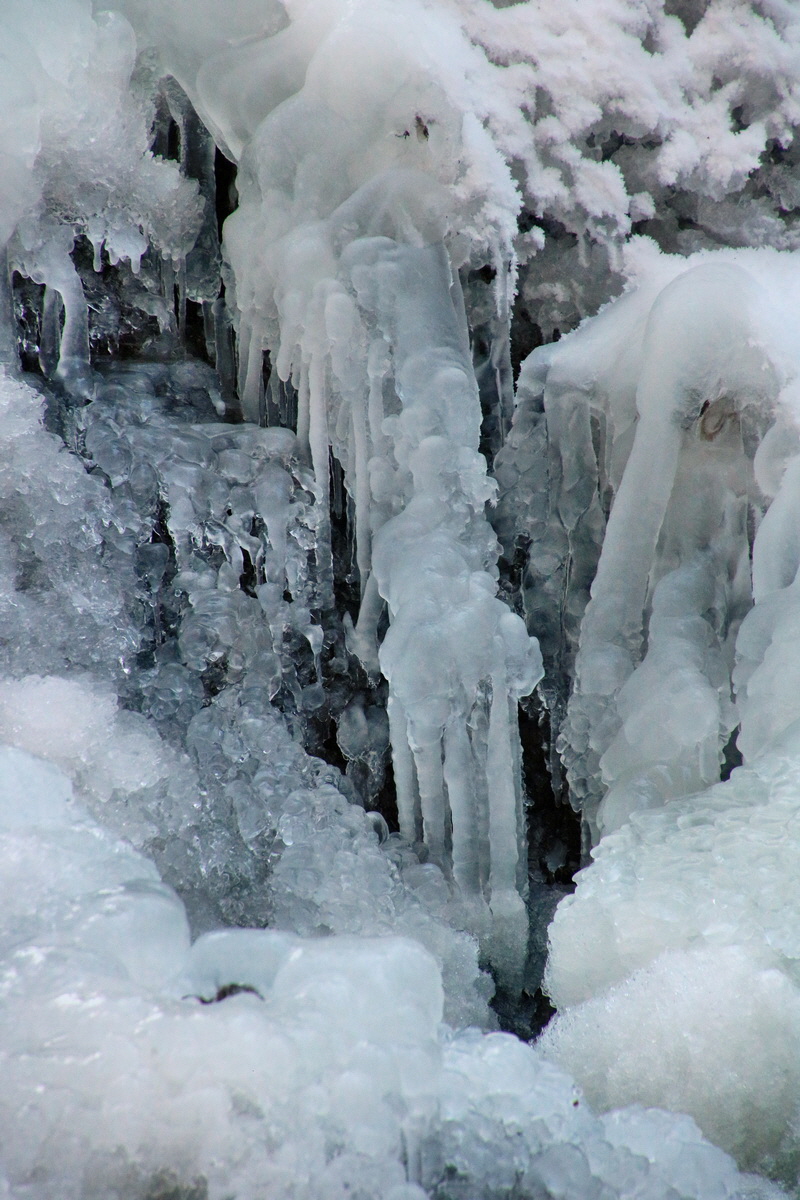 RNA-2017-01-22-00025168p_Bildgr��e �ndern