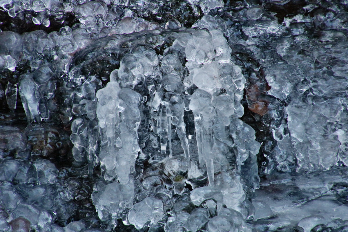 RNA-2017-01-22-00025174p_Bildgr��e �ndern